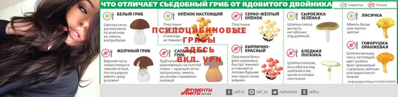 купить наркотик  Лянтор  Галлюциногенные грибы мухоморы 